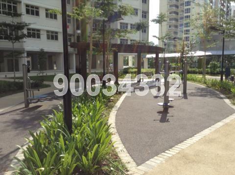 Blk 523A The Premiere @ Tampines (Tampines), HDB 4 Rooms #74268682